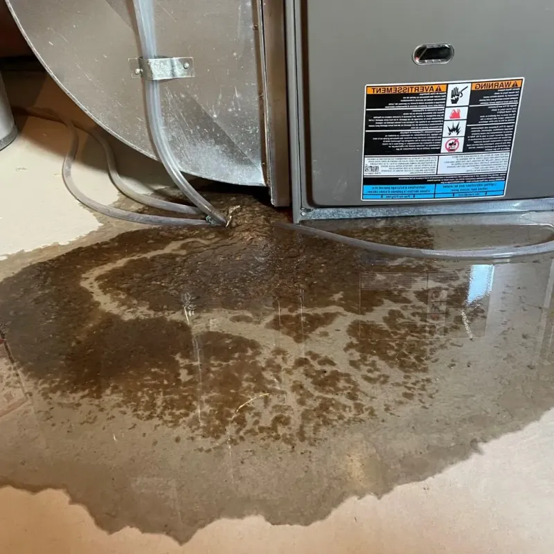 Pipe Burst and Leak Restoration in Hershey, PA