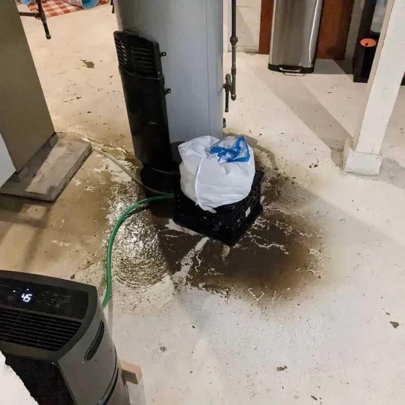 Sewage Backup Cleanup Service in Hershey, PA